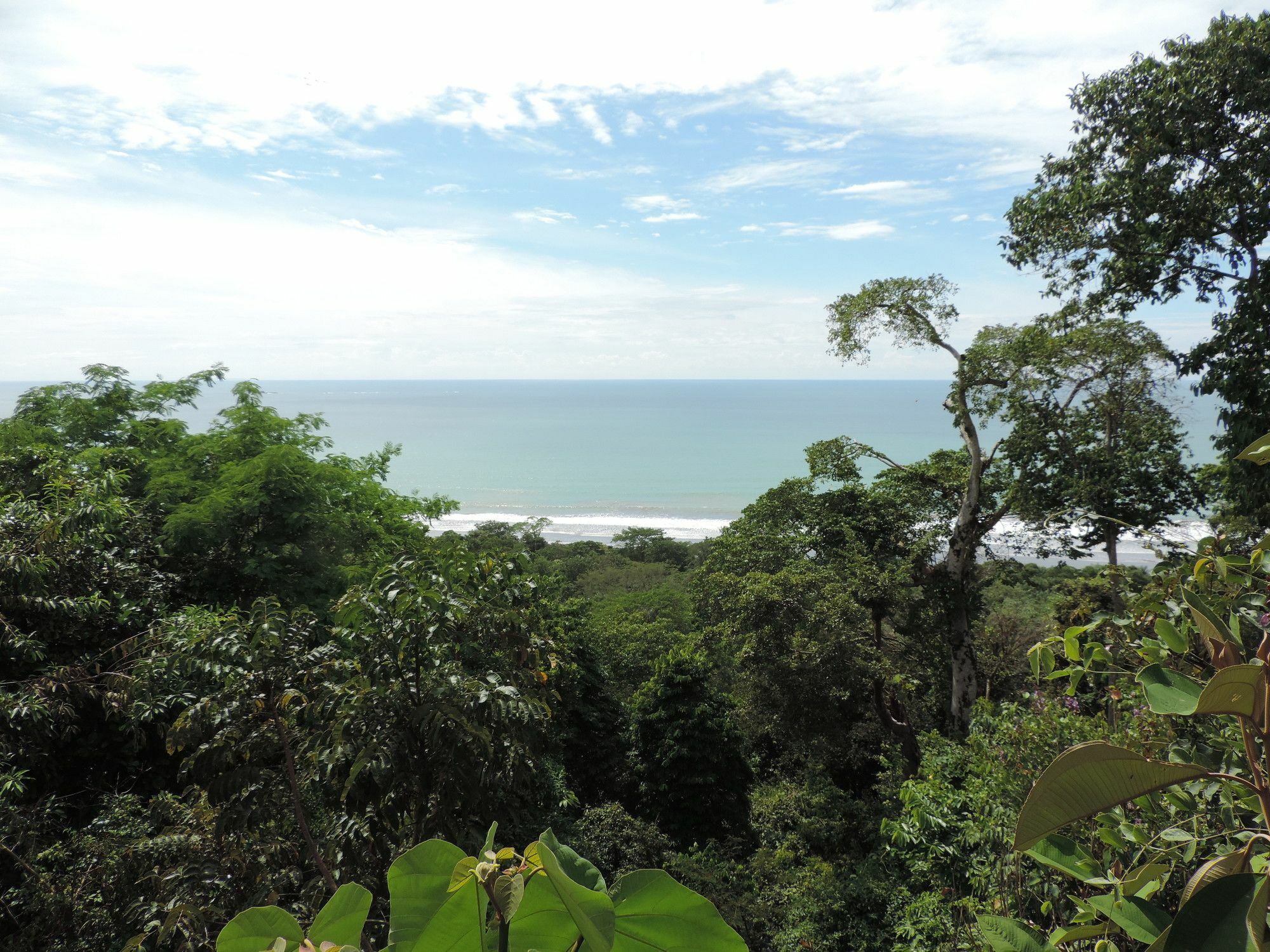 Ranchos Remo Lodge Uvita Exteriér fotografie
